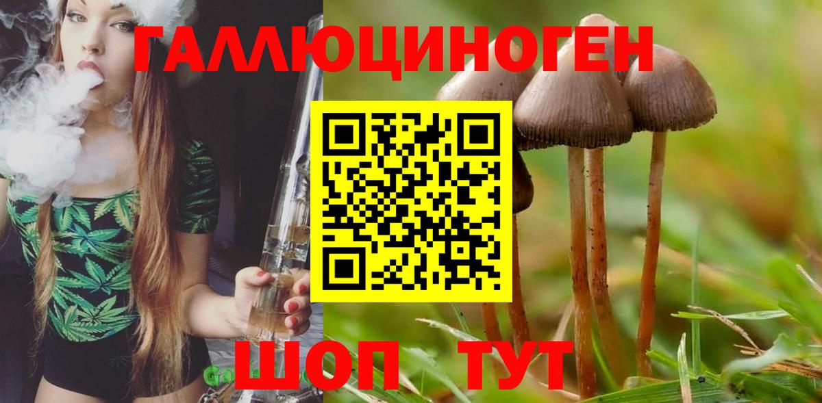 Галлюциногенные грибы прущие грибы  Псилоцибиновые грибы Cubensis  Вход с VPN  Изобильный 